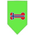 Unconditional Love Bone Flag Norway  Screen Print Bandana Lime Green Small UN851726